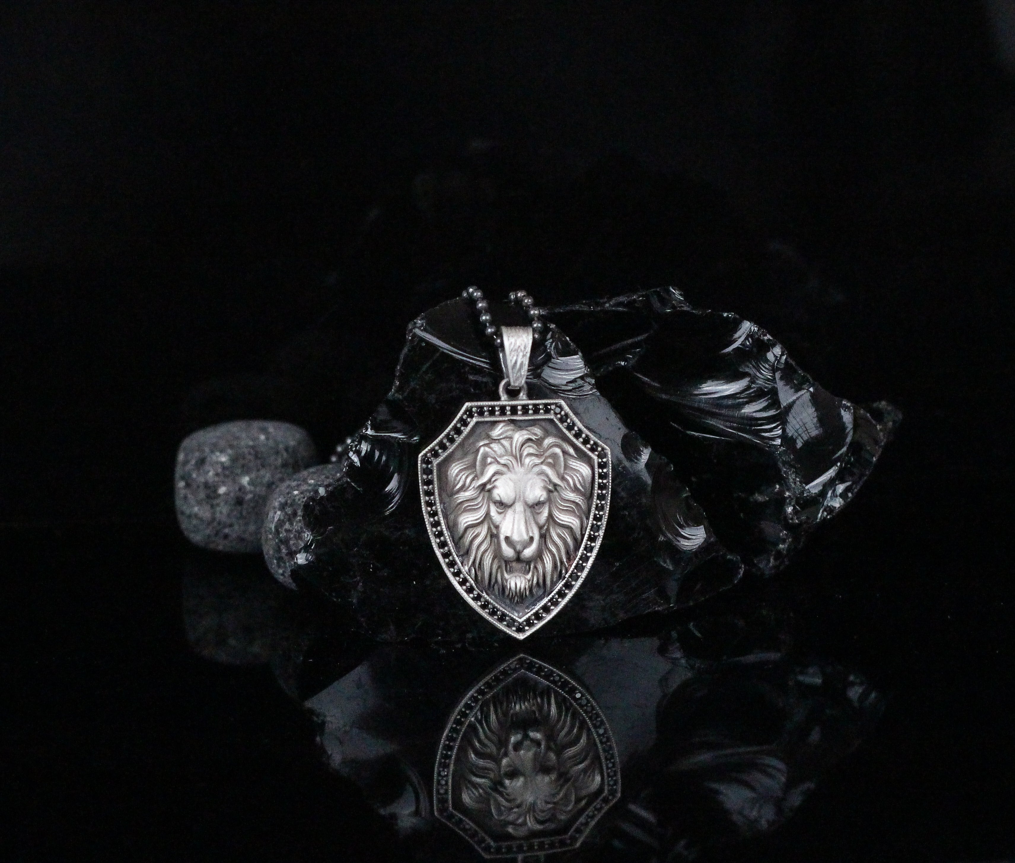 Engraved Lion Medallion Necklace for Men | Vintage Coin Pendant, Roaring Lion Charm